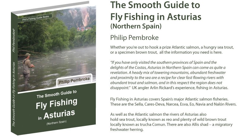 fly fishing book, Atlantic salmon, brown trout, sea trout, grey mullet, river Sella, Panes, where to fish, fishing licence, tackle, tactics, accommodation, fishing holiday, Spain